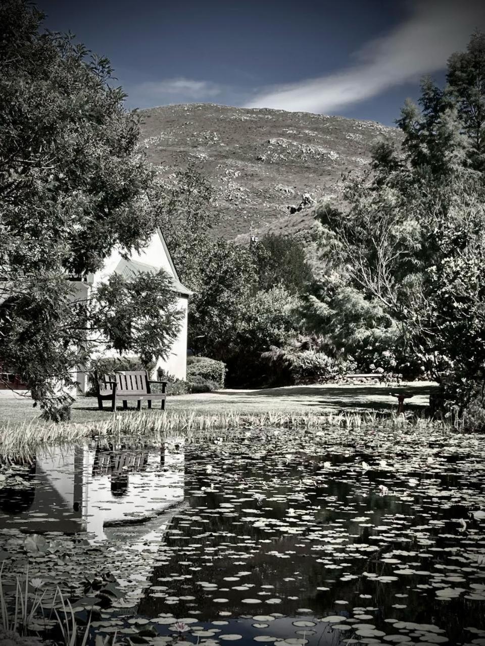 The Volmoed Trust Villa Hermanus Ngoại thất bức ảnh