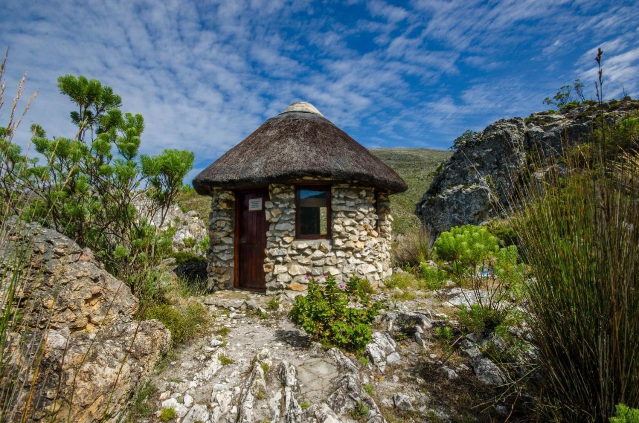 The Volmoed Trust Villa Hermanus Ngoại thất bức ảnh